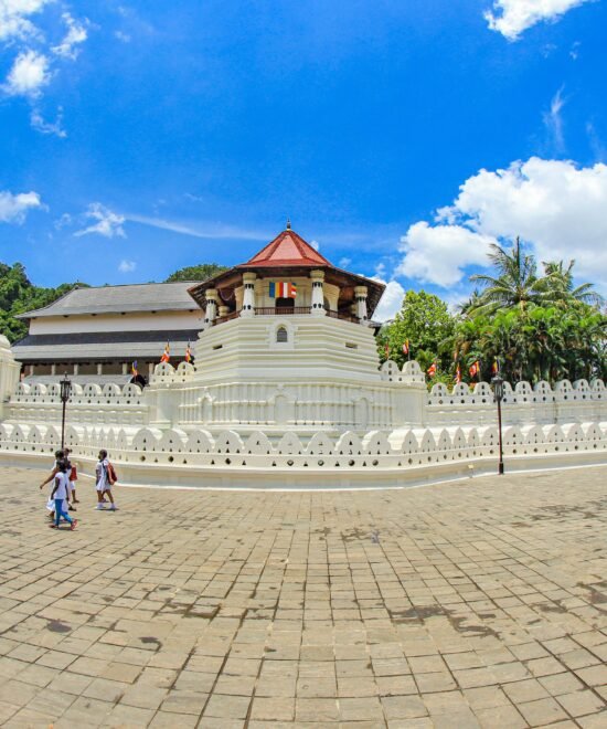 Kandy Day Escape: A Cultural & Scenic Experience - 1 Day