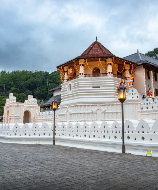 Essence of Sri Lanka: A 6-Day Journey Through Culture & Heritage